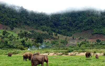 Mondulkiri Province